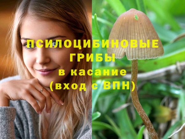 гашишное масло Пыталово