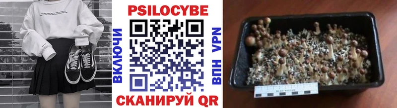 Галлюциногенные грибы мухоморы  где можно купить   Райчихинск 